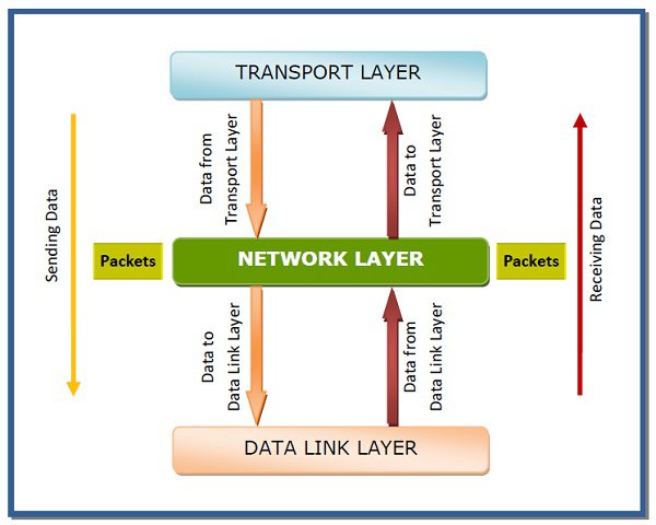 Functions of the Network Layer in the OSI Reference Model
